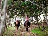  gunstock ranch scenic ride